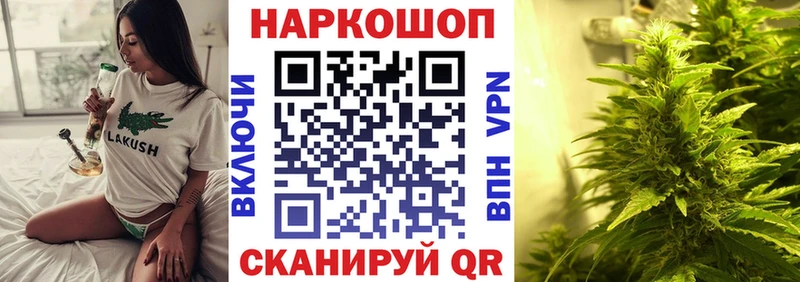 Купить закладку Киселёвск Alpha-PVP МЕФ Псилоцибиновые грибы Каннабис