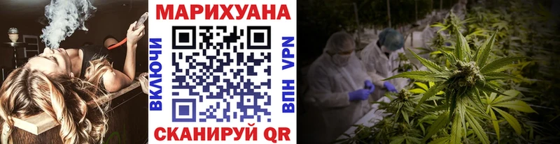 Конопля планчик  Киселёвск 